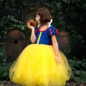 Vestido Blancanieves Deluxe