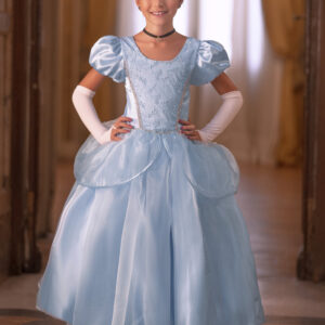 Vestido Cenicienta de Lujo