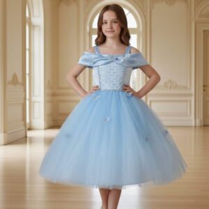 Vestido Cenicienta Butterfly – Colección Moderna